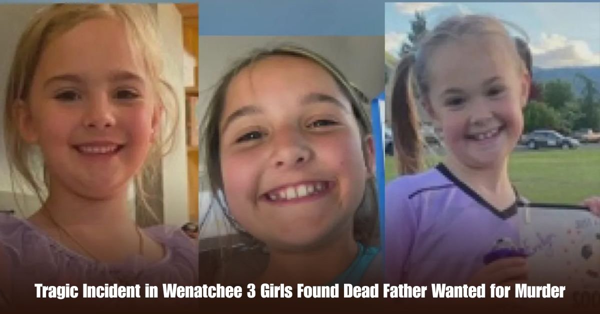 6 on Private Jet Presumed Dead After Crash Into San Diego Neighborhood 11 1