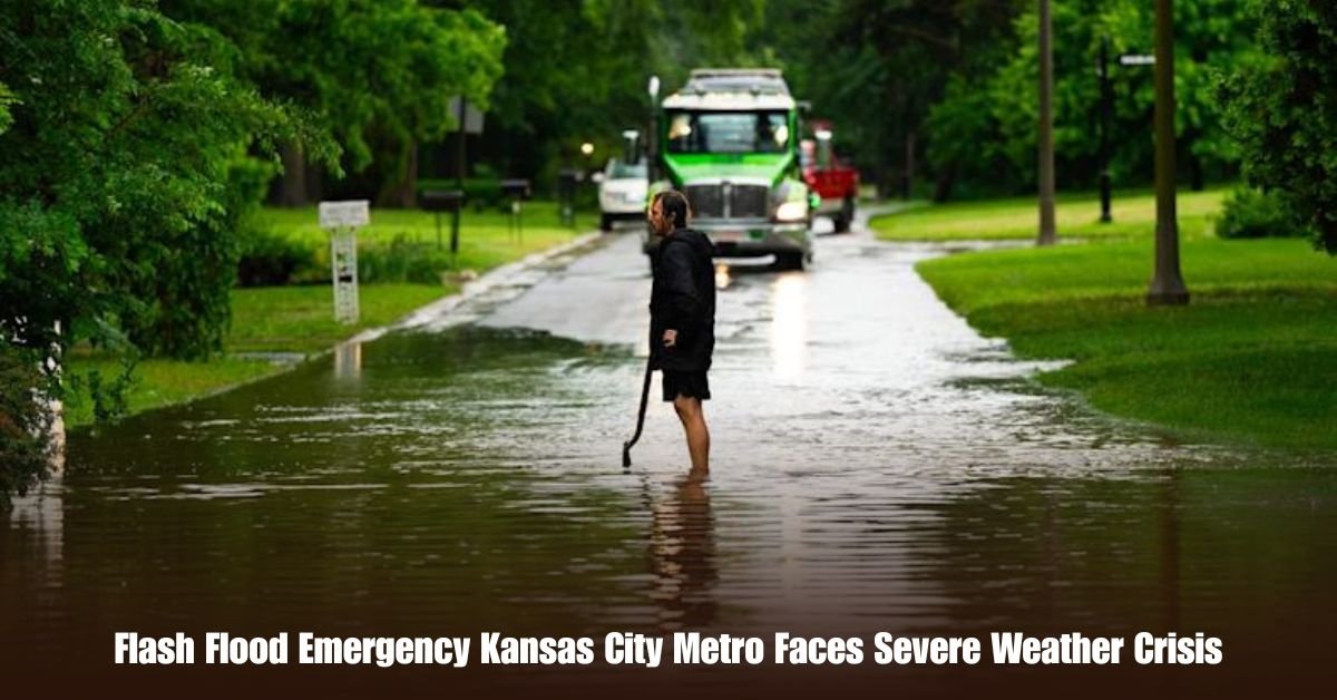 Flash Flood Emergency Kansas City Metro Faces Severe Weather Crisis 2 6 on Private Jet Presumed Dead After Crash Into San Diego Neighborhood 16 1