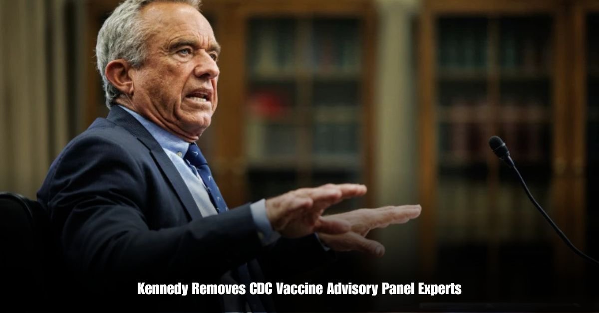 6 on Private Jet Presumed Dead After Crash Into San Diego Neighborhood 2025 06 10T204303.678