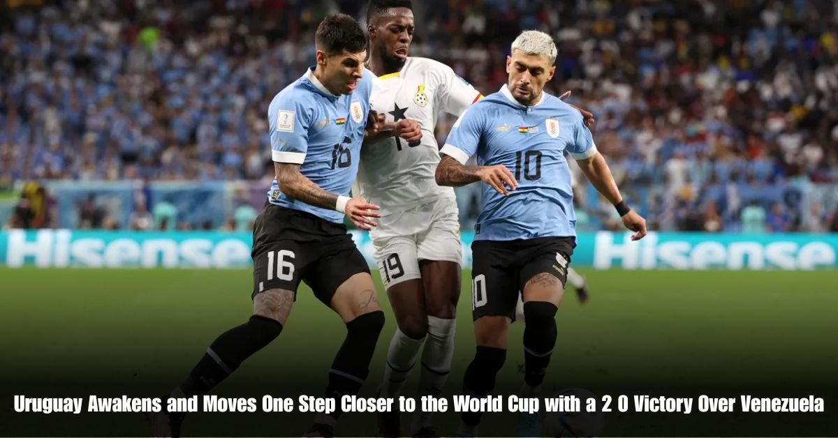 6 on Private Jet Presumed Dead After Crash Into San Diego Neighborhood 2025 06 11T131026.464