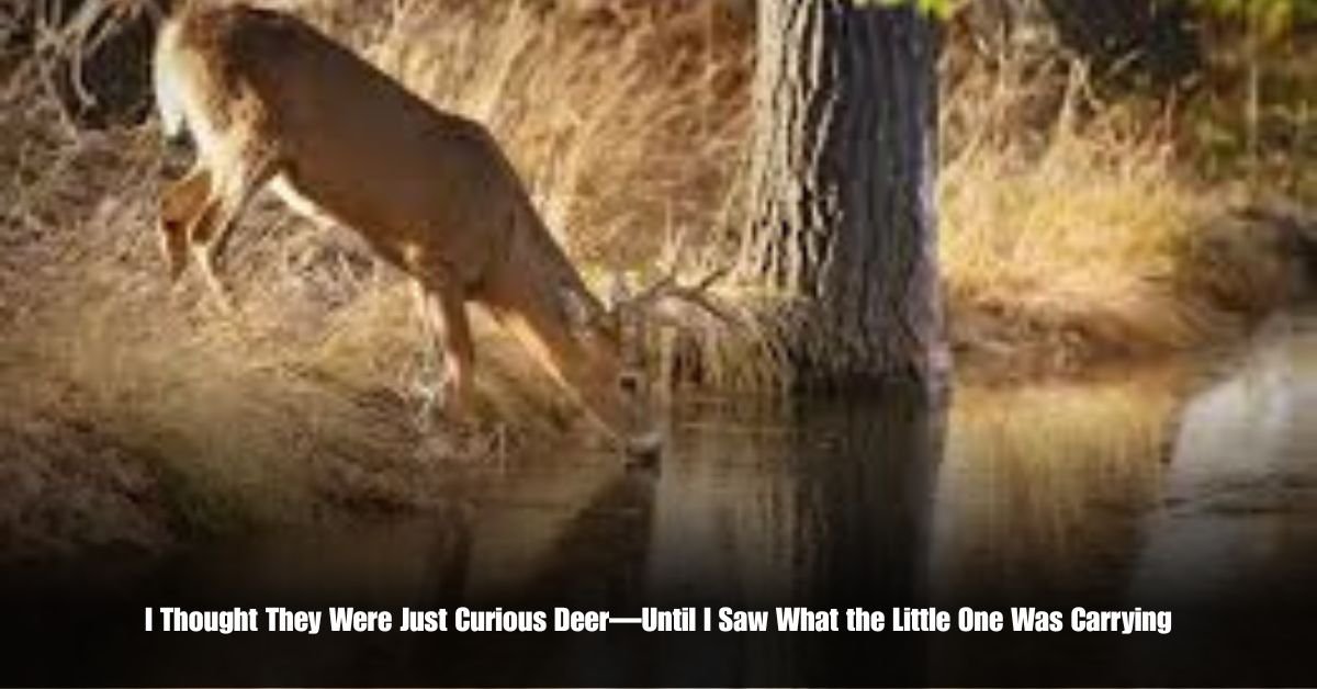 6 on Private Jet Presumed Dead After Crash Into San Diego Neighborhood 22 6