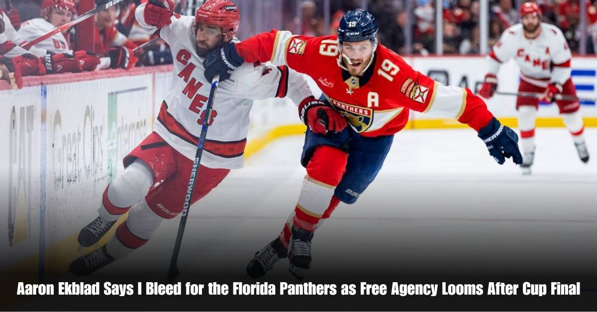 6 on Private Jet Presumed Dead After Crash Into San Diego Neighborhood 32 1