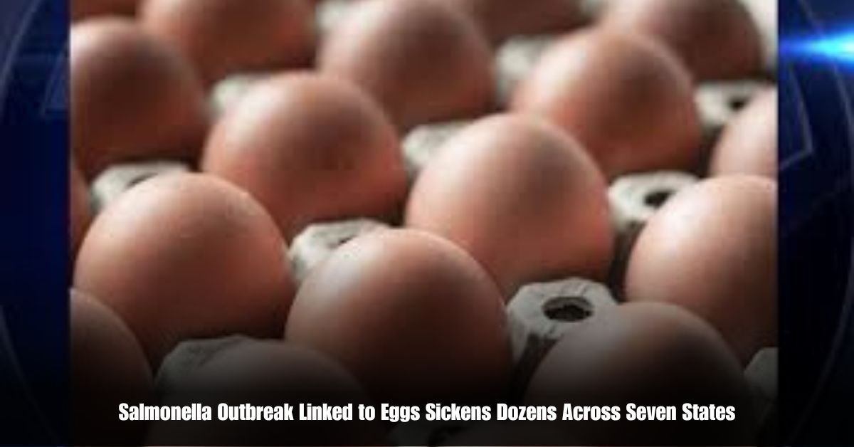 Salmonella Outbreak Linked to Eggs Sickens Dozens Across Seven States 2 6 on Private Jet Presumed Dead After Crash Into San Diego Neighborhood 57