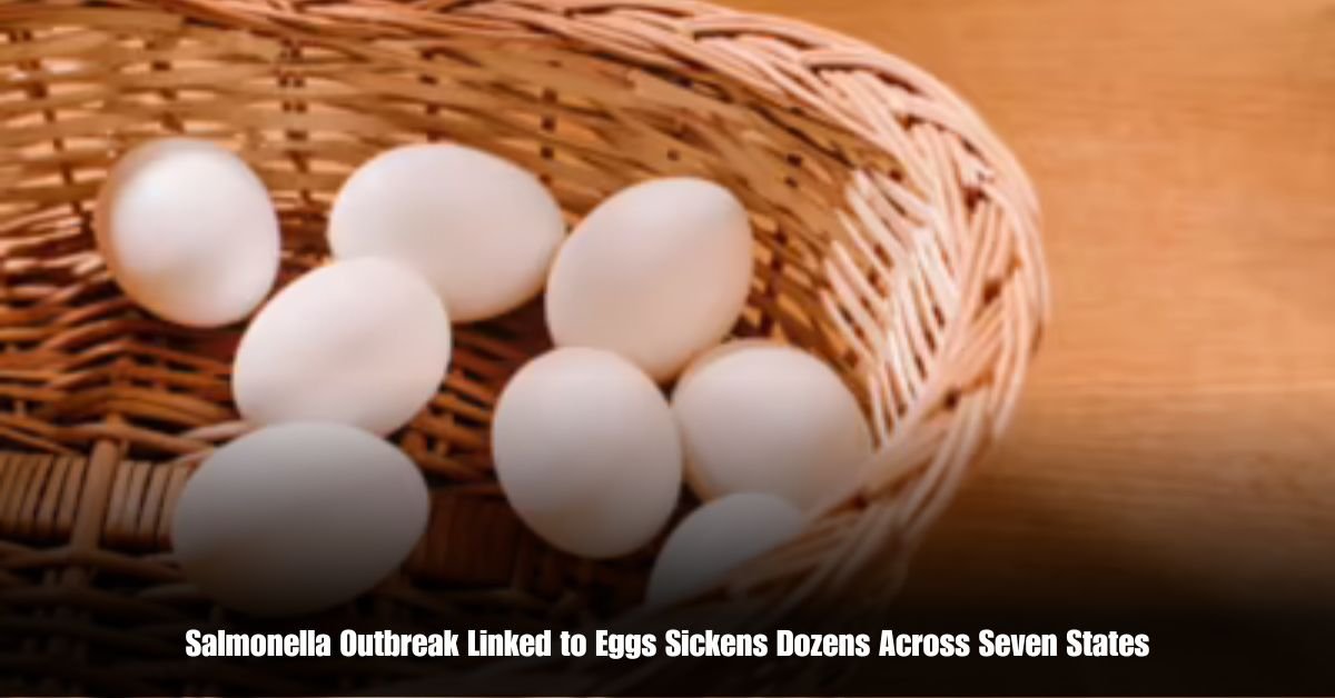 6 on Private Jet Presumed Dead After Crash Into San Diego Neighborhood 58