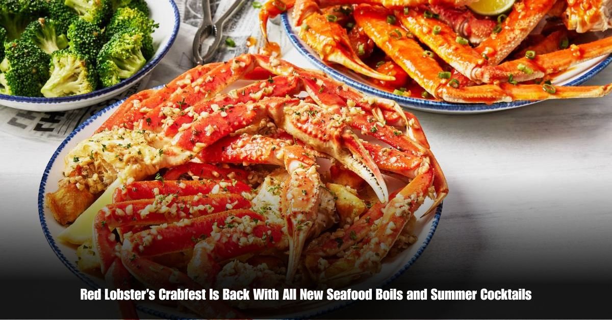 6 on Private Jet Presumed Dead After Crash Into San Diego Neighborhood 7 13