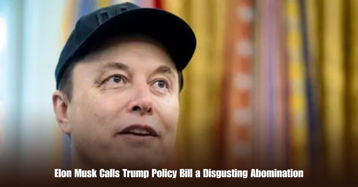 Elon Musk Calls Trump Policy Bill a Disgusting Abomination 2 6 on Private Jet Presumed Dead After Crash Into San Diego Neighborhood 8 1