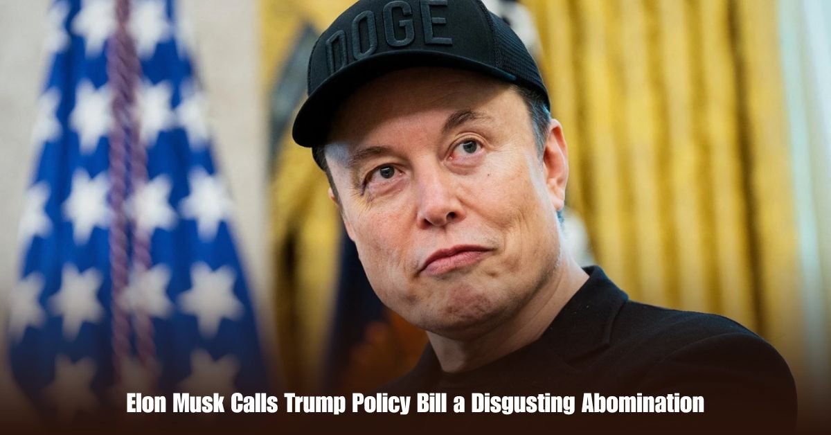 6 on Private Jet Presumed Dead After Crash Into San Diego Neighborhood 9 1