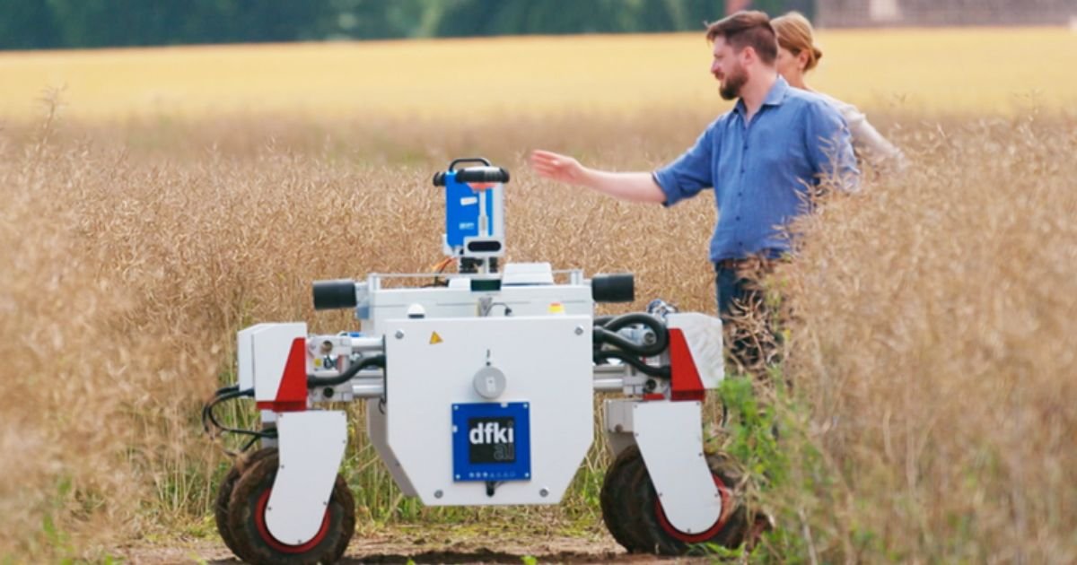AI Is Changing Farming in Kenya – Here’s What Every Agriculturalist Should Know in 2025 2 AI Is Changing Farming in Kenya – Here’s What Every Agriculturalist Should Know in 2025