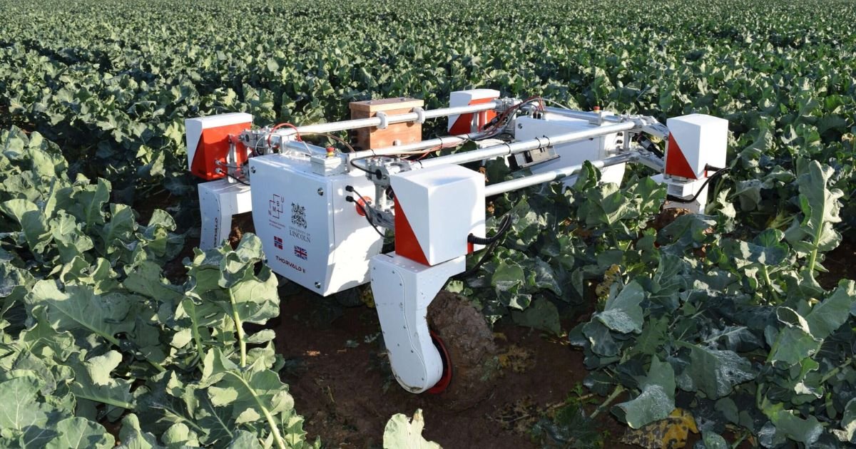 AI Is Changing Farming in Kenya – Here’s What Every Agriculturalist Should Know in 2025 3 AI Is Changing Farming in Kenya – Here’s What Every Agriculturalist Should Know in 2025