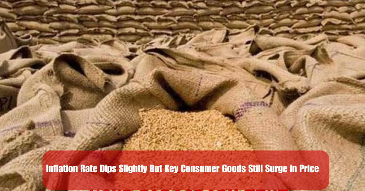 Inflation Rate Dips Slightly But Key Consumer Goods Still Surge in Price 2 Add a heading 15 3