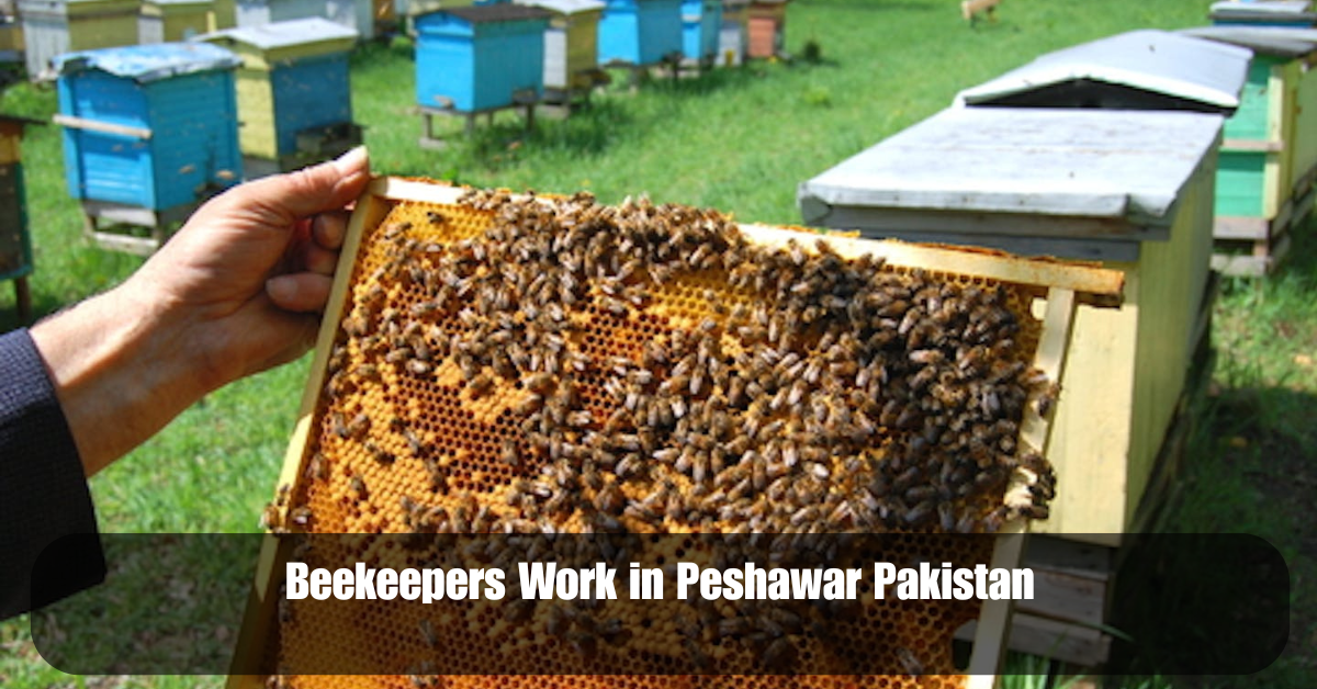 Add a heading 2025 06 14T144038.067