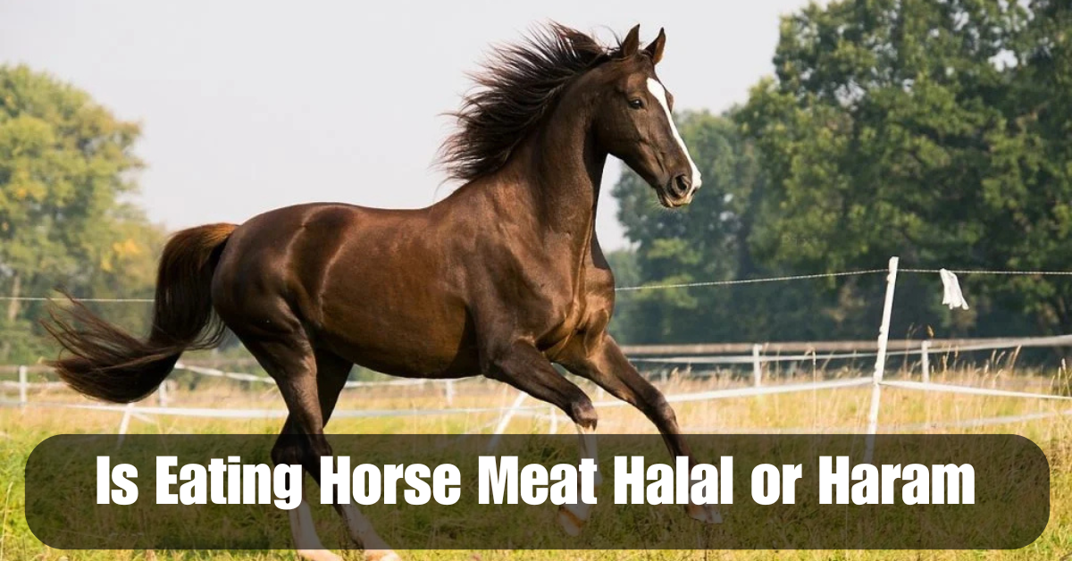 Add a heading 2025 06 14T164731.868