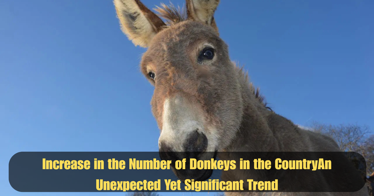 Increase in the Number of Donkeys in the CountryAn Unexpected Yet Significant Trend 2 Add a heading 21