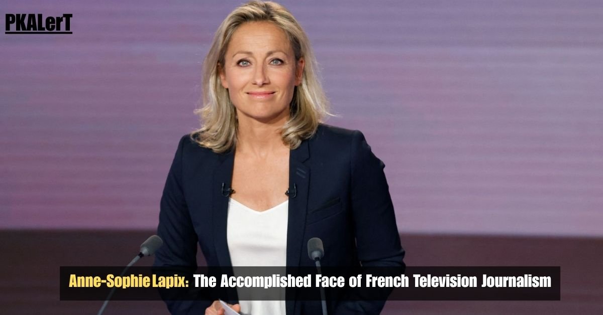 Anne‑Sophie Lapix: The Accomplished Face of French Television Journalism 2 Anne‑Sophie Lapix: The Accomplished Face of French Television Journalism