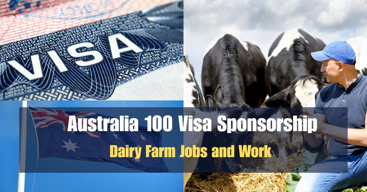 Australia 100 Visa Sponsorship: Dairy Farm Jobs and Work 2025 Guide