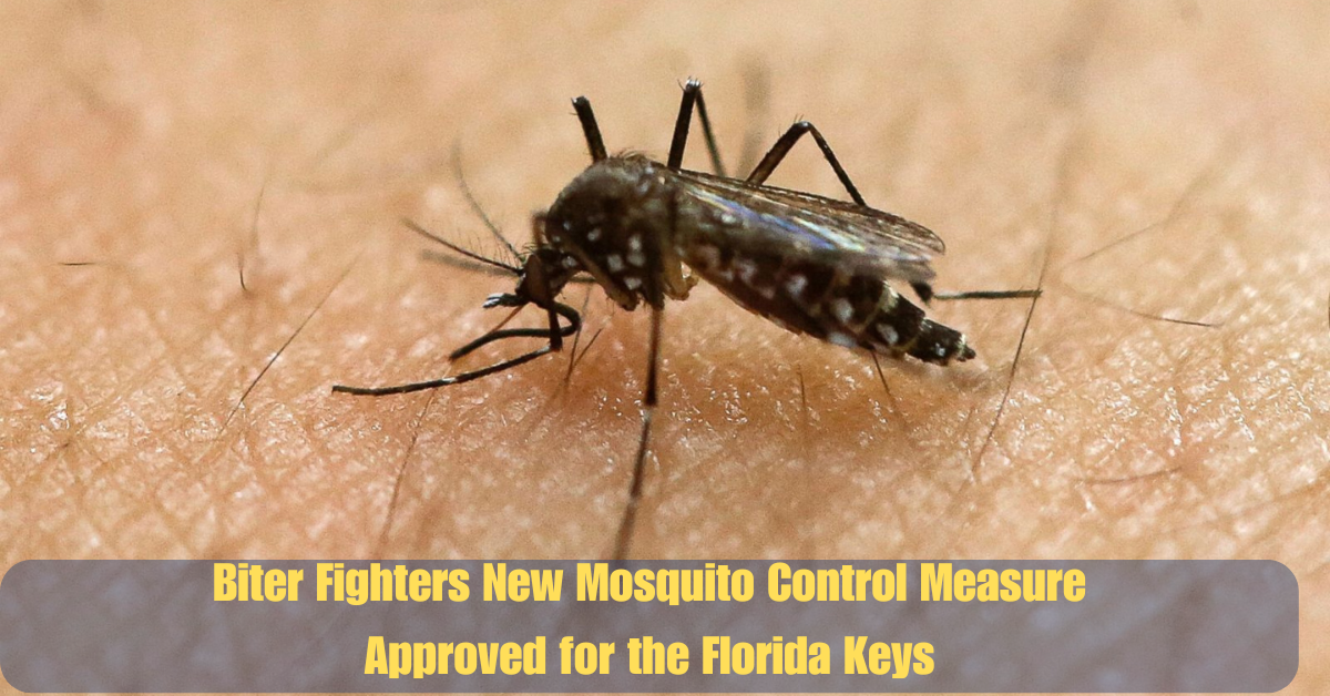 Biter Fighters New Mosquito Control Measure Approved for the Florida Keys 2 Bilawal Announces PPP Rally in Peshawar Against Indian Aggressiong 2025 06 04T160420.770