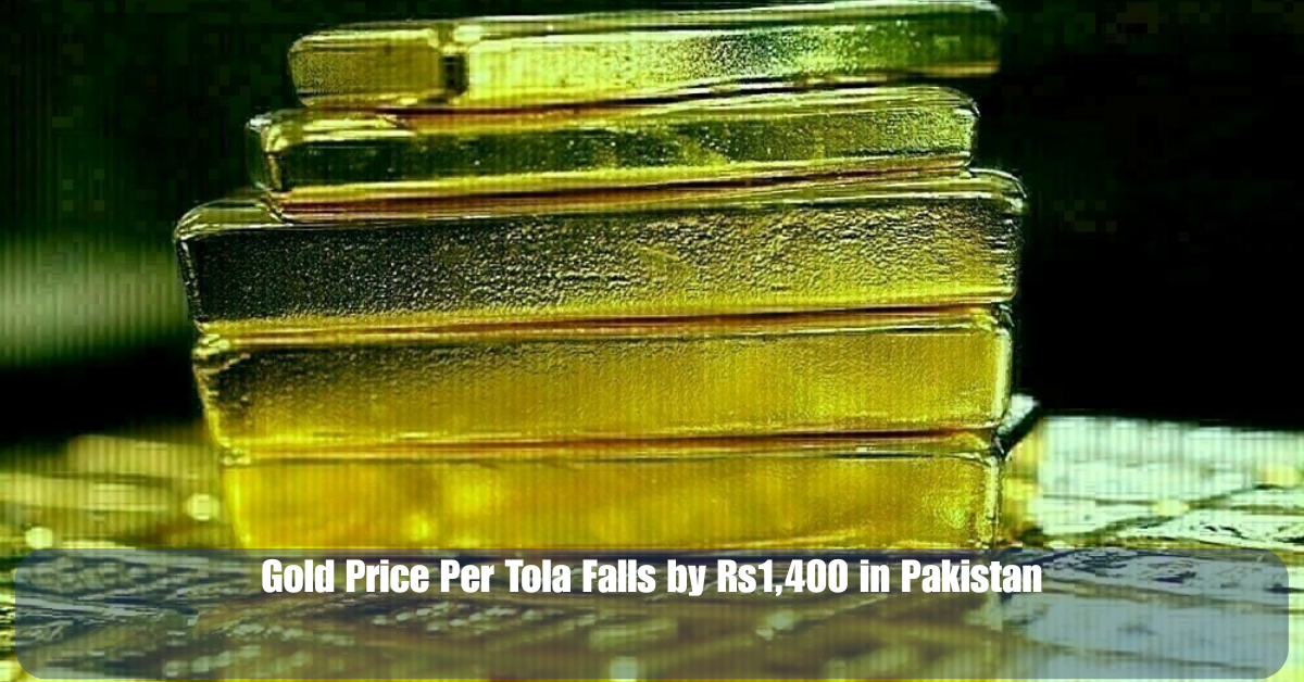 Bilawal Announces PPP Rally in Peshawar Against Indian Aggressiong 79 1