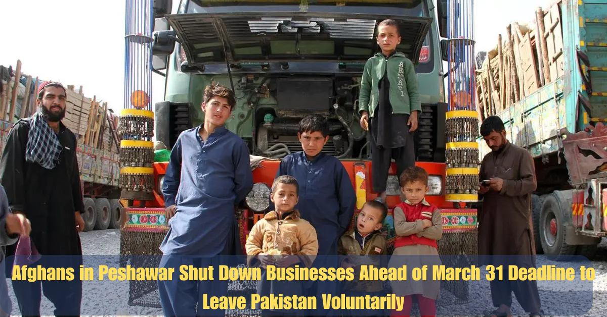 Bilawal Announces PPP Rally in Peshawar Against Indian Aggressiong 84