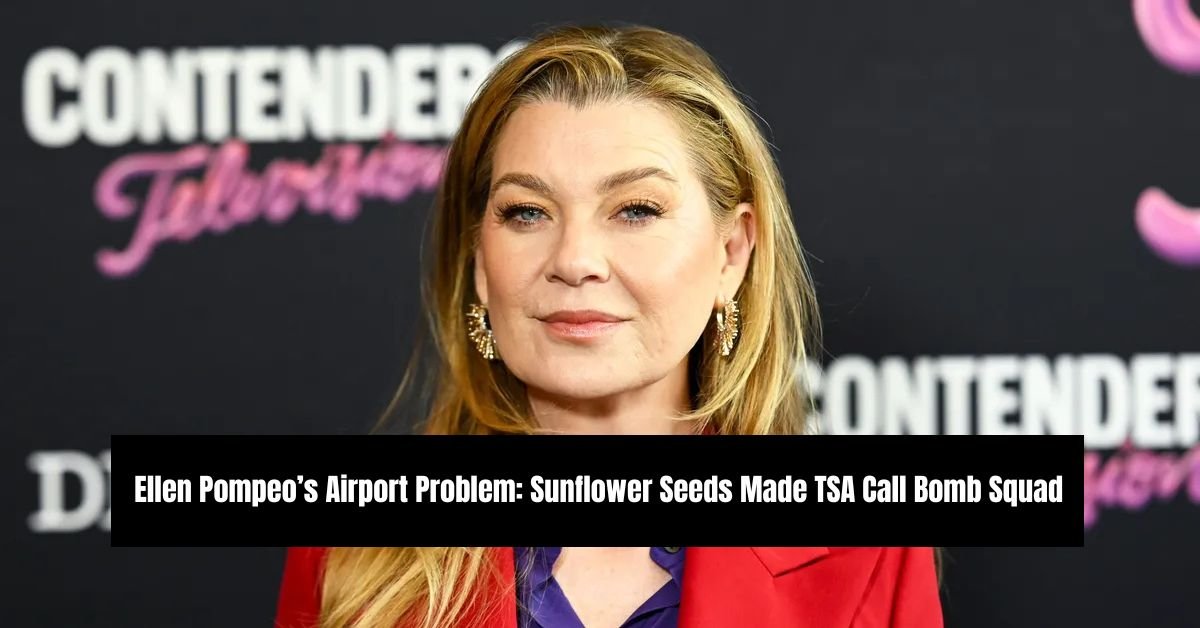 Ellen Pompeo’s Airport Problem: Sunflower Seeds Made TSA Call Bomb Squad 2 Diddys disturbing courtroom revelations applesauce burgers and abuse allegations shock manhattan trial 53