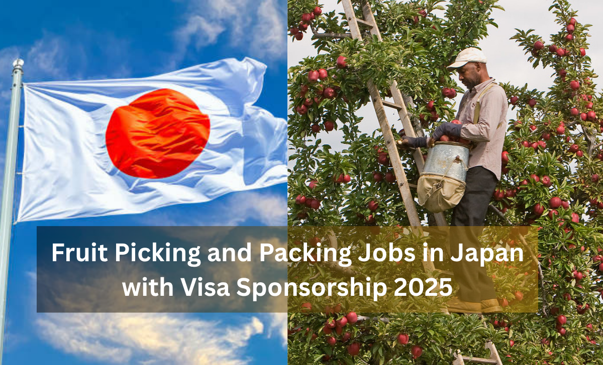 Fruit Picking and Packing Jobs in Japan with Visa Sponsorship 2025