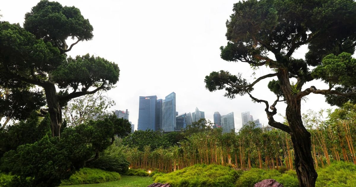 Global Push for Green: Singapore, UK & Kenya Start Carbon Market Coalition 2 Global Push for Green: Singapore, UK & Kenya Start Carbon Market Coalition