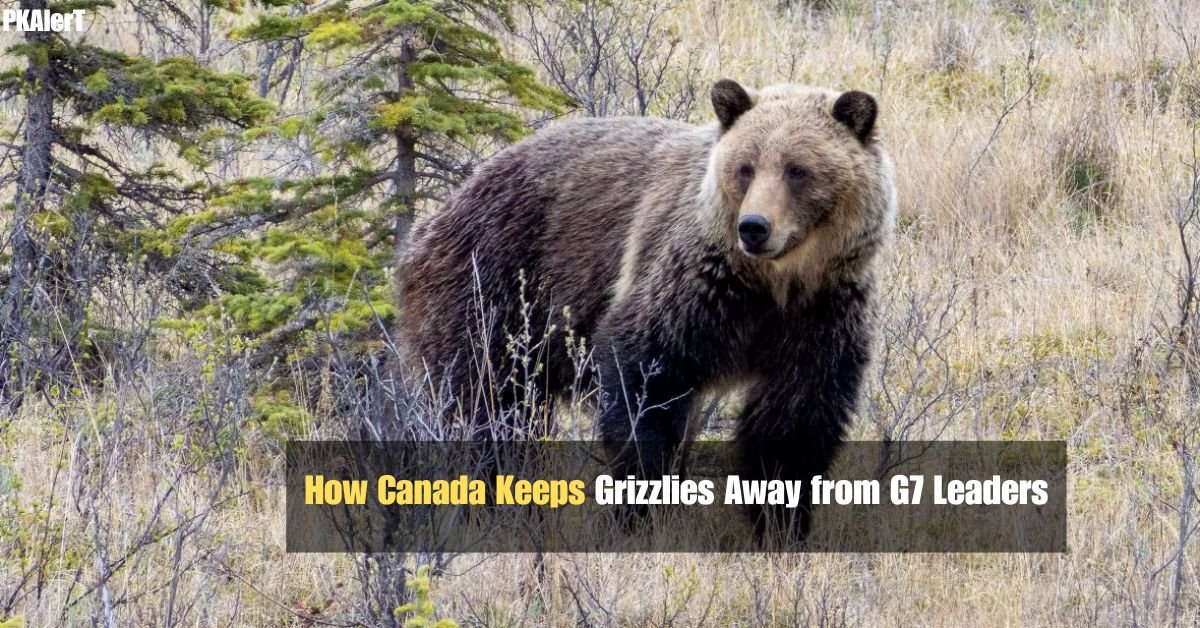 How Canada Keeps Grizzlies Away from G7 Leaders 2 Hardworking Mans Clever Strategy To Beat The Winter Cold During Work Hours Goes Viral 82 2