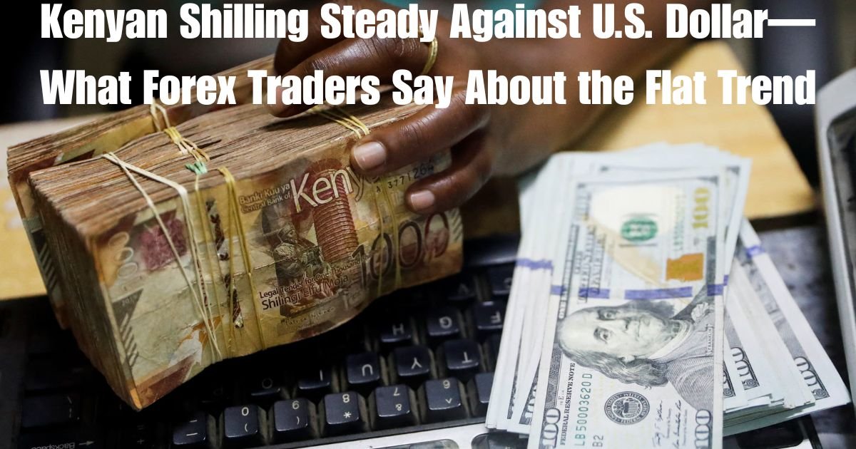 Kenyan Shilling Steady Against U.S. Dollar—What Forex Traders Say About the Flat Trend