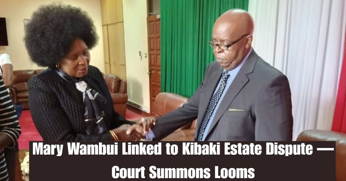 Mary Wambui Linked to Kibaki Estate Dispute — Court Summons Looms