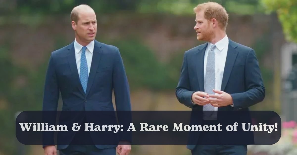 Prince Harry and Prince William share rare unity on climate action.