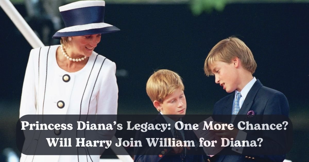 Prince Harry’s reunion with Prince William on Princess Diana’s day.