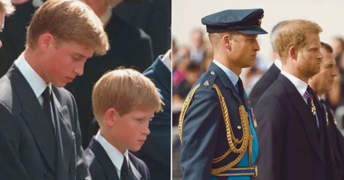 Will Prince Harry Join Prince William to Honor Princess Diana on Her Birthday? Royal Rift Faces Emotional Test 2 Prince Harry makes emotional plea for children as William takes stern step 3