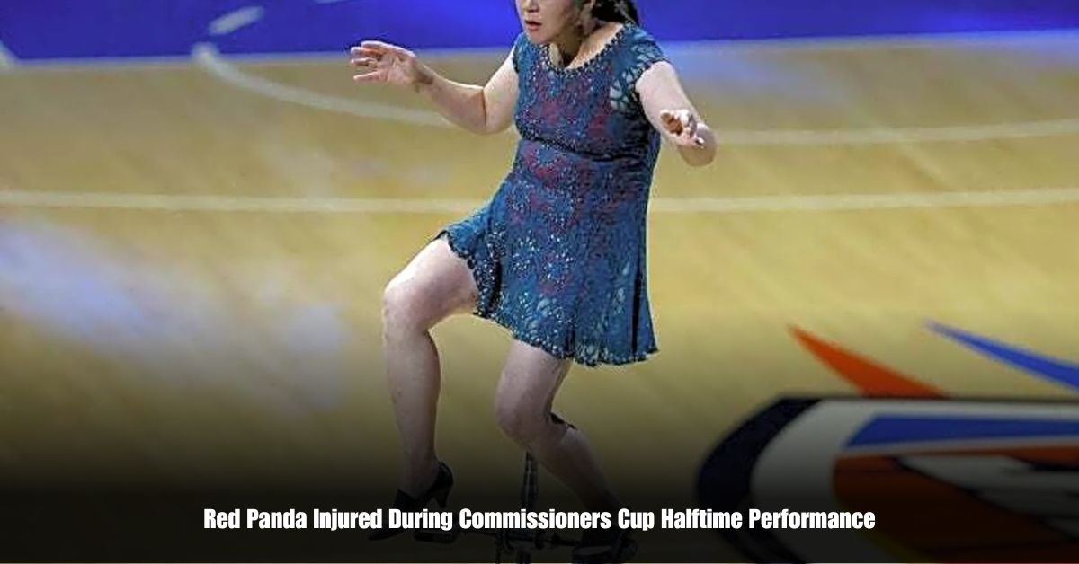 6 on Private Jet Presumed Dead After Crash Into San Diego Neighborhood 12