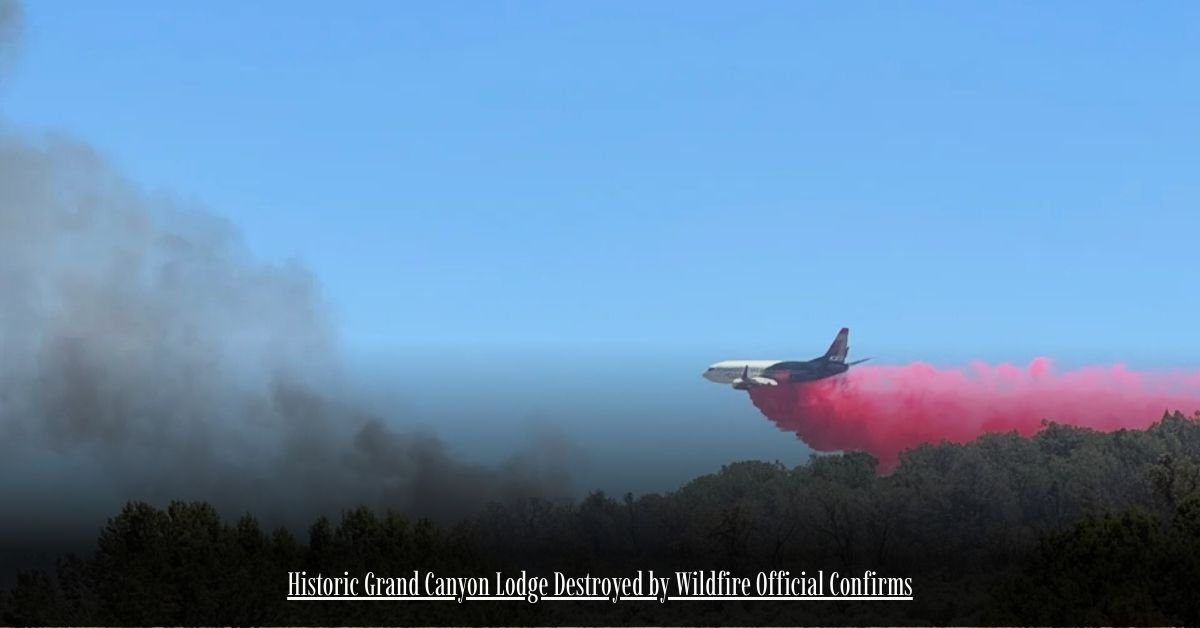 6 on Private Jet Presumed Dead After Crash Into San Diego Neighborhood 13 2