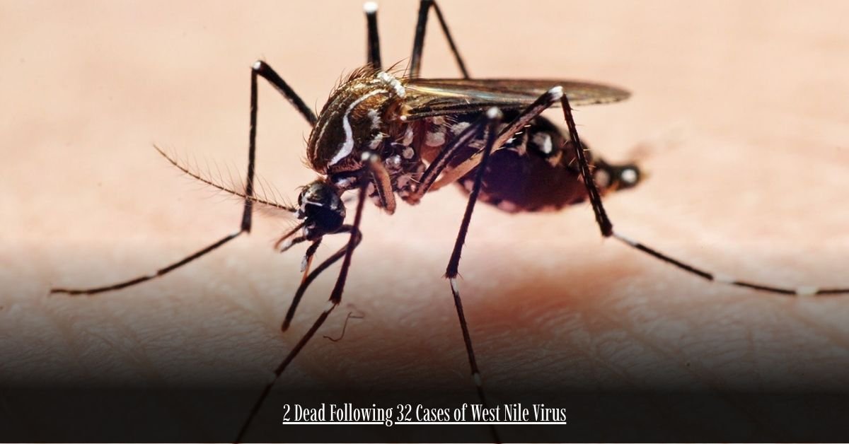 6 on Private Jet Presumed Dead After Crash Into San Diego Neighborhood 13 5