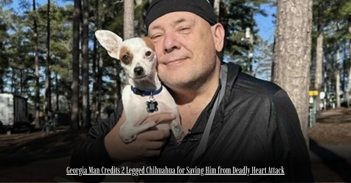 6 on Private Jet Presumed Dead After Crash Into San Diego Neighborhood 14 4