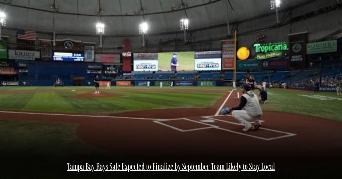 6 on Private Jet Presumed Dead After Crash Into San Diego Neighborhood 2 3