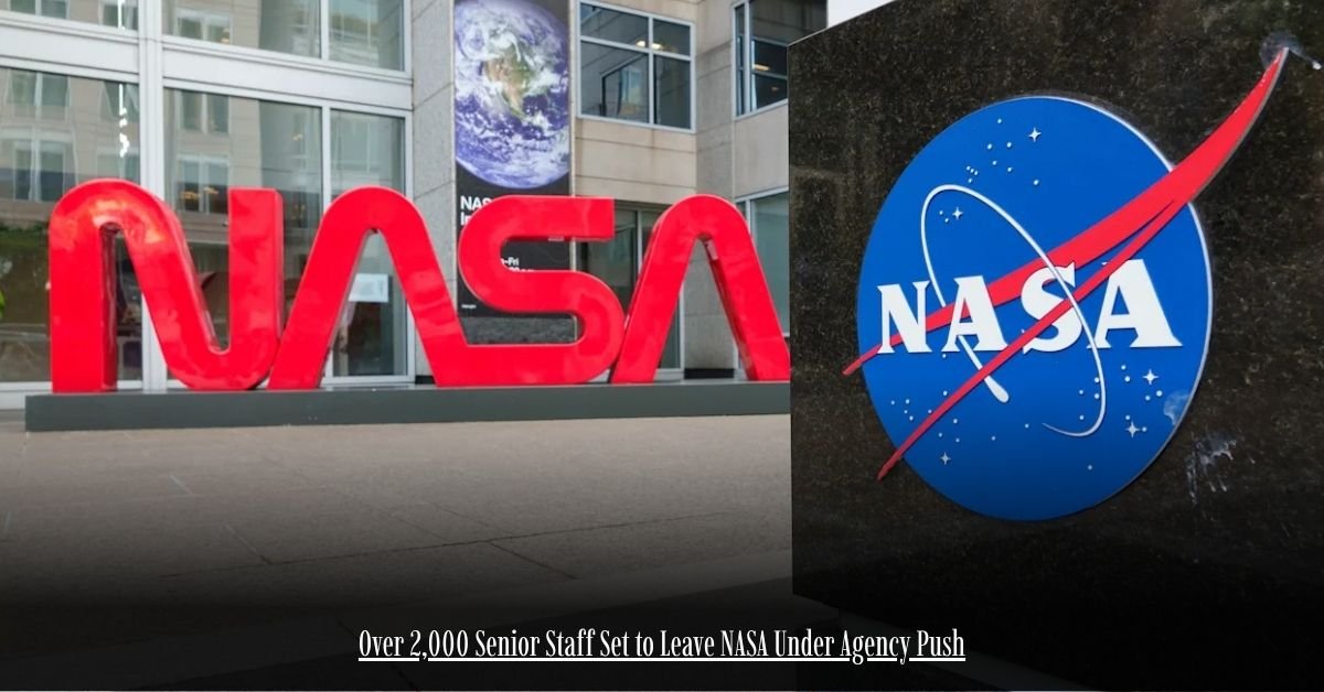 6 on Private Jet Presumed Dead After Crash Into San Diego Neighborhood 26 1