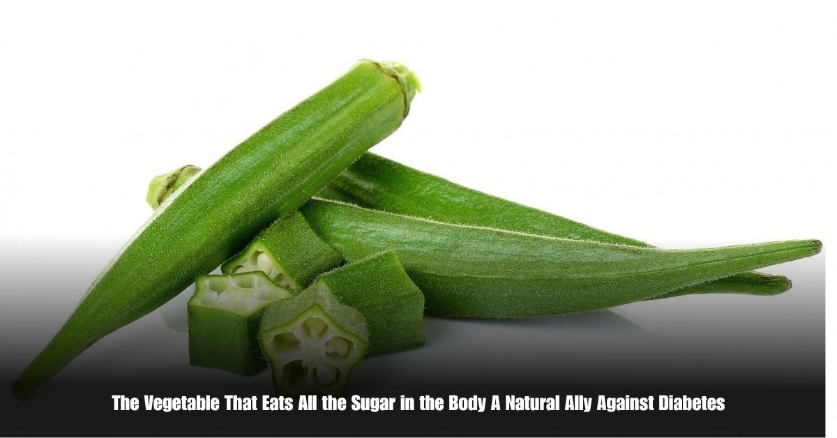 6 on Private Jet Presumed Dead After Crash Into San Diego Neighborhood 28