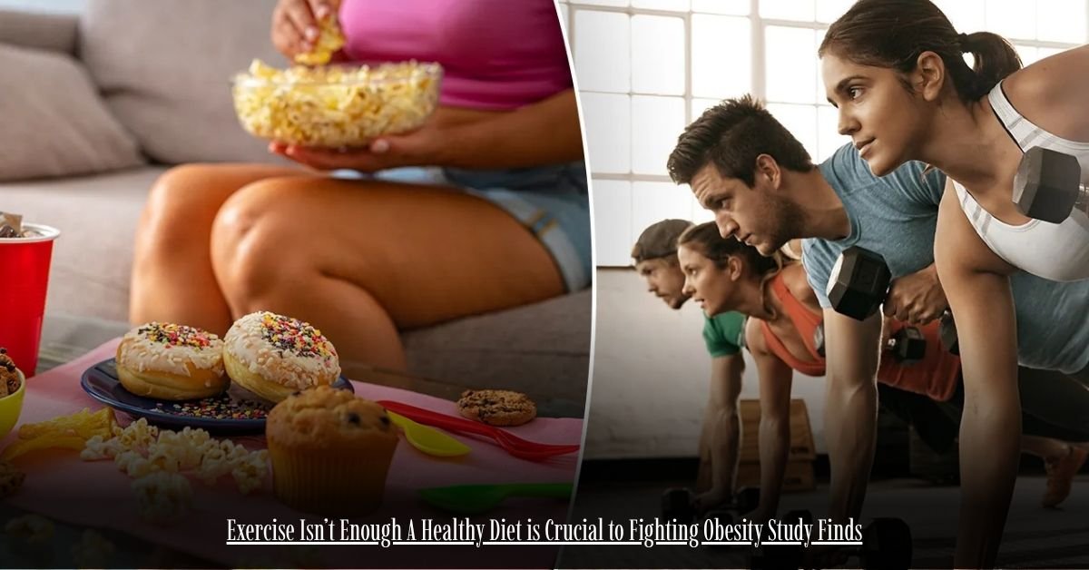 6 on Private Jet Presumed Dead After Crash Into San Diego Neighborhood 3 7