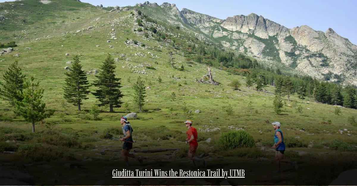 6 on Private Jet Presumed Dead After Crash Into San Diego Neighborhood 3