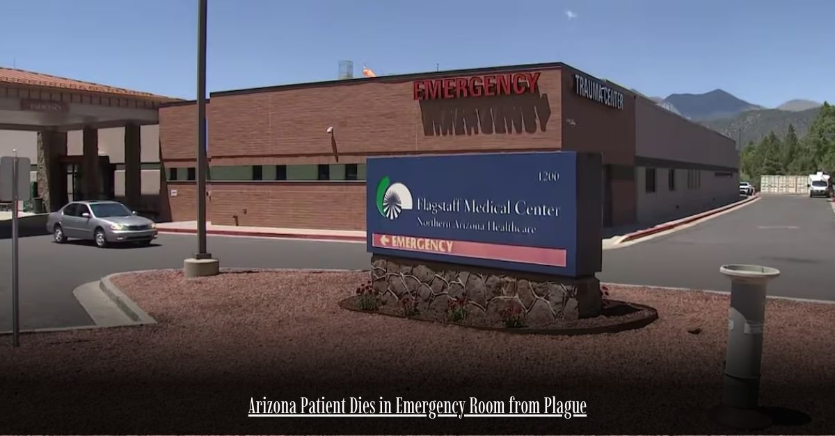 6 on Private Jet Presumed Dead After Crash Into San Diego Neighborhood 40 1