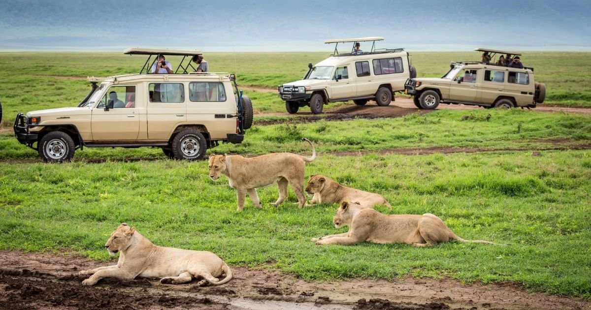 Kenya’s Hemingways Acquires Another Luxury Camp in Maasai Mara Safari Hub 2 Kenya’s Hemingways Acquires Another Luxury Camp in Maasai Mara Safari Hub
