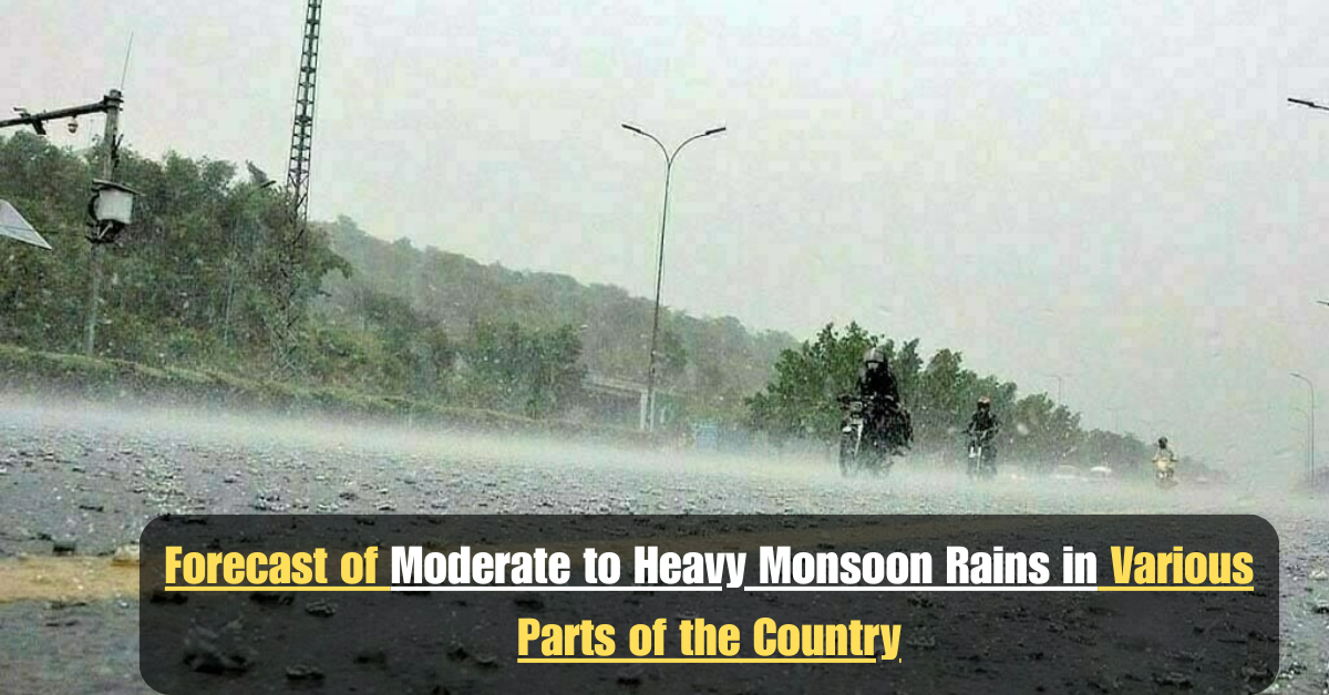 Add a heading 2025 07 12T012428.813