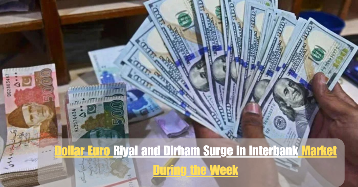 Dollar Euro Riyal and Dirham Surge in Interbank Market During the Week 2 Add a heading 29 1