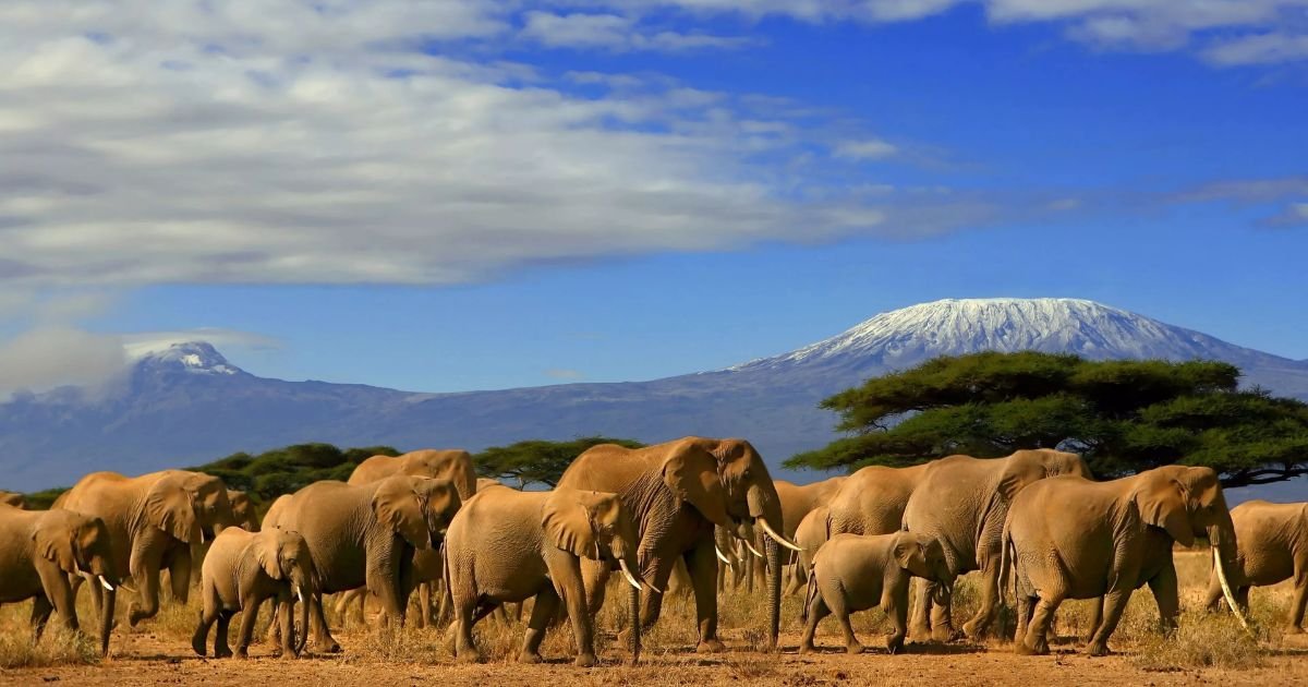 Economic Setback: Kenya Misses 2025 Growth Forecast as Tourism and Manufacturing Underperform 2 Economic Setback: Kenya Misses 2025 Growth Forecast as Tourism and Manufacturing Underperform