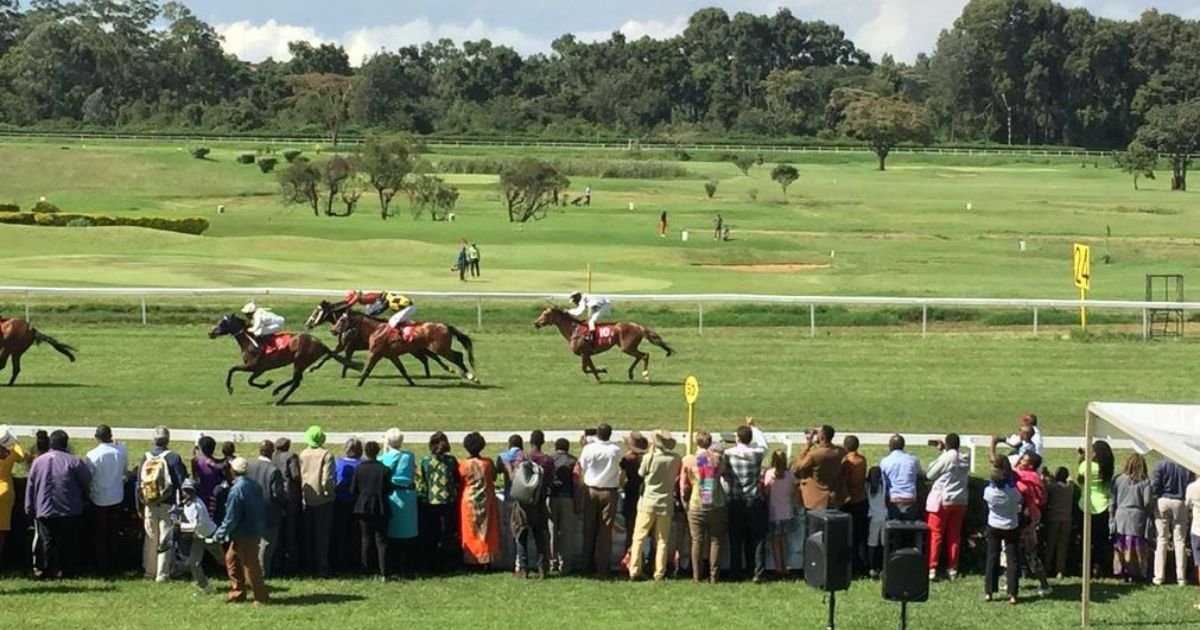 Hilarious Scene in Kenya as 8 Horses Take Off – Internet Can’t Stop Laughing About “Horsepower” 2 Hilarious Scene in Kenya as 8 Horses Take Off – Internet Can’t Stop Laughing About “Horsepower” (2)