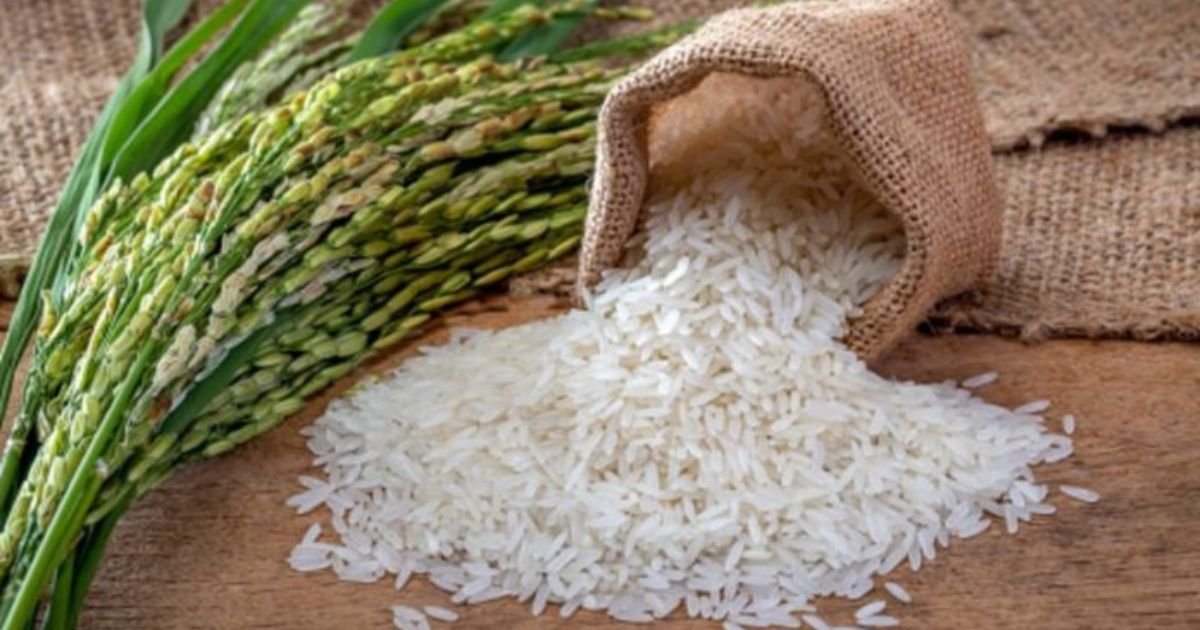 Kenya-Pakistan Trade Boost: Tea and Rice Tariff Imbalances Resolved 2 Kenya-Pakistan Trade Boost: Tea and Rice Tariff Imbalances Resolved