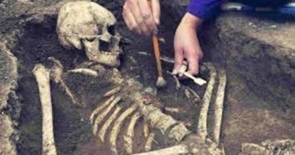 Prehistoric Discovery: Fossils Unearthed in Kenyan Rift and Canadian Arctic Reveal Global Evolution Link 2 Prehistoric Discovery: Fossils Unearthed in Kenyan Rift and Canadian Arctic Reveal Global Evolution Link