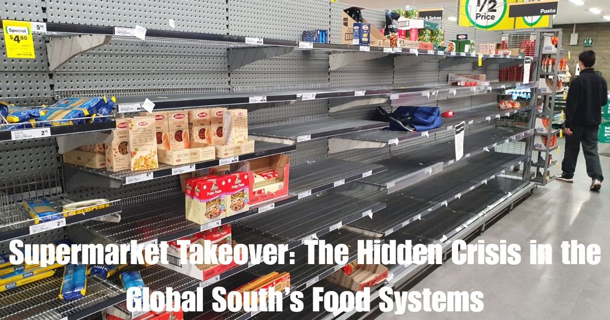 Supermarket Takeover: The Hidden Crisis in the Global South’s Food Systems