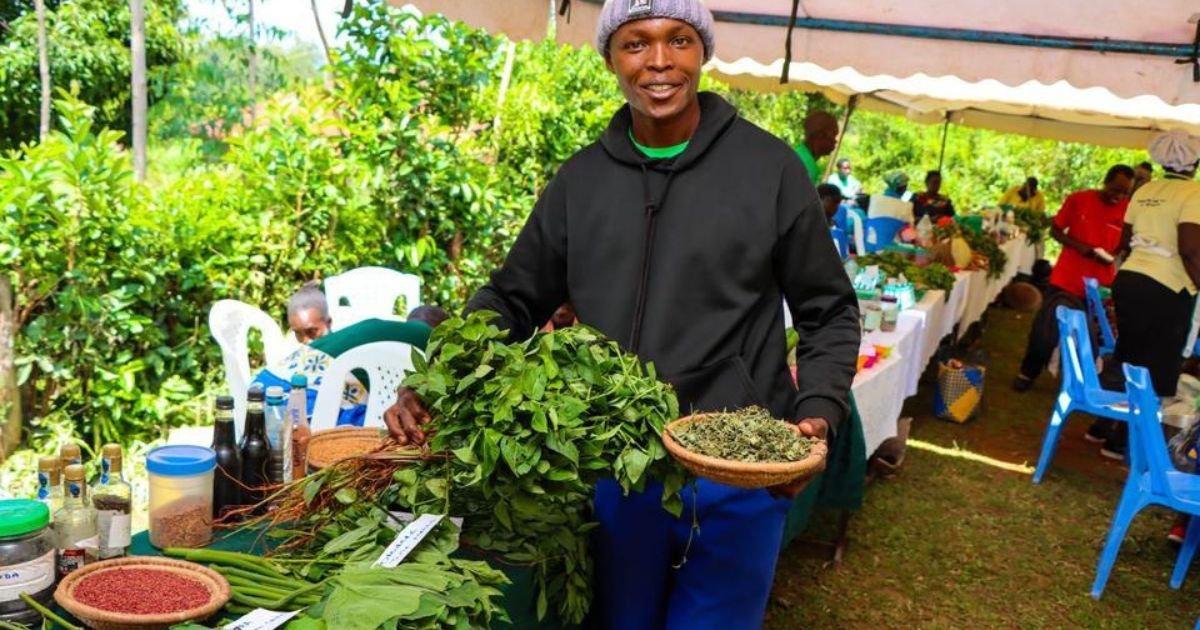 "These Indigenous ‘Weeds’ Are Now Kenya’s Hottest Food Trend" 2 "These Indigenous ‘Weeds’ Are Now Kenya’s Hottest Food Trend"